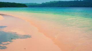 穏やかな熱帯のビーチの雰囲気 🏝️ 11時間 リラクゼーションのための穏やかな海の波