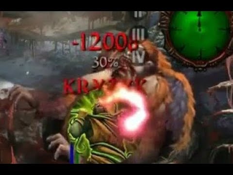 Rekordowy korzeń w Jaskółkę!