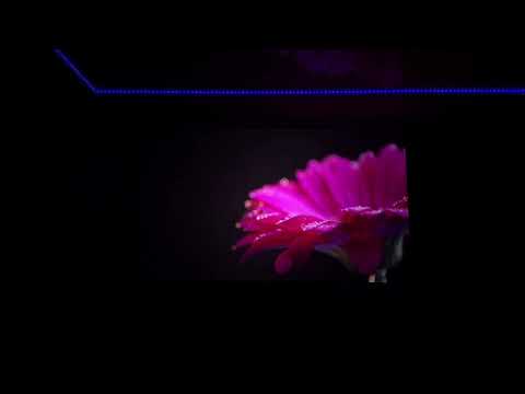 LG CineBeam HU810PW Forte