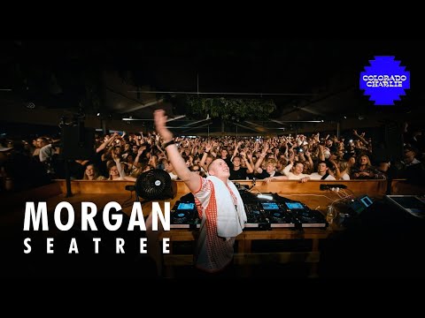 Morgan Seatree FULL SET | Colorado Charlie | Netherlands
