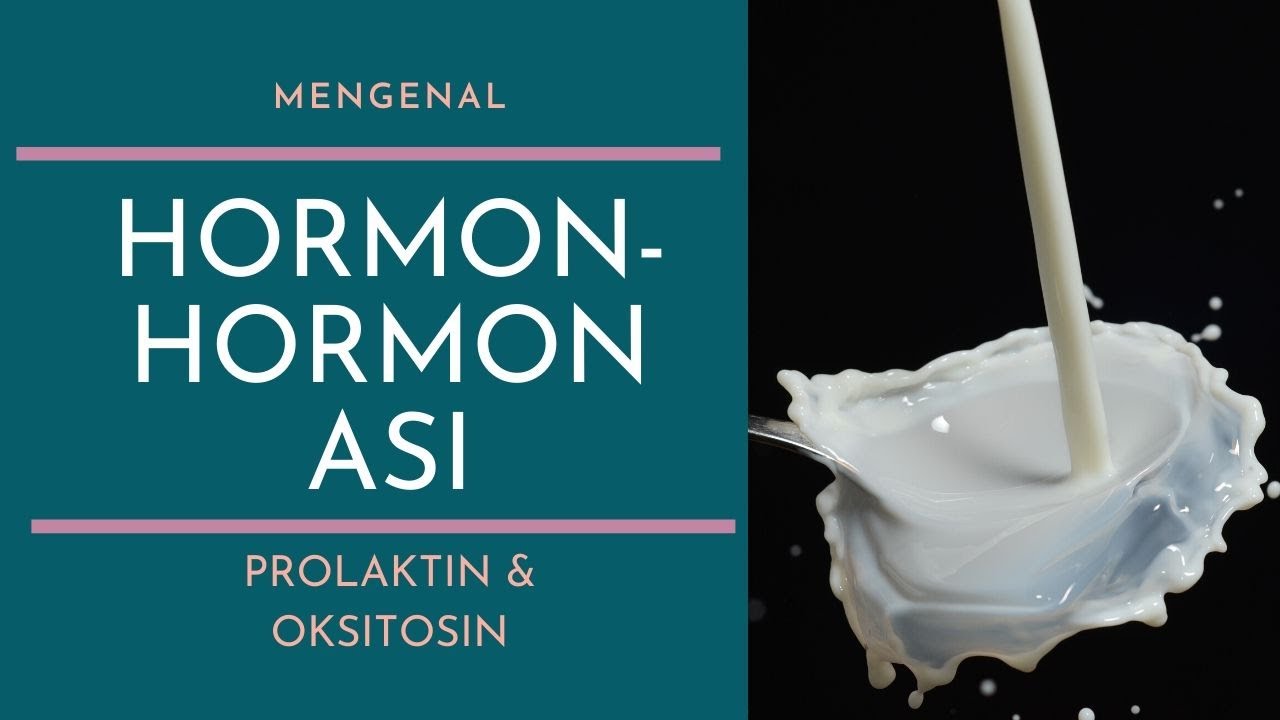 Hormon yang Mempengaruhi ASI : Hormon Oksitosin & Hormon Prolaktin