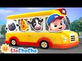 Wheels On The Bus With Animals Kids Song Compilation Kids Songs Nursery Rhymes LiaChaCha