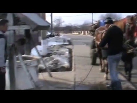 Vladiceasca Ciofliceni Ghermanesti Snagov Gruiu