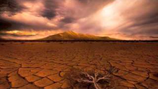 Sarah Fimm -  Be like water