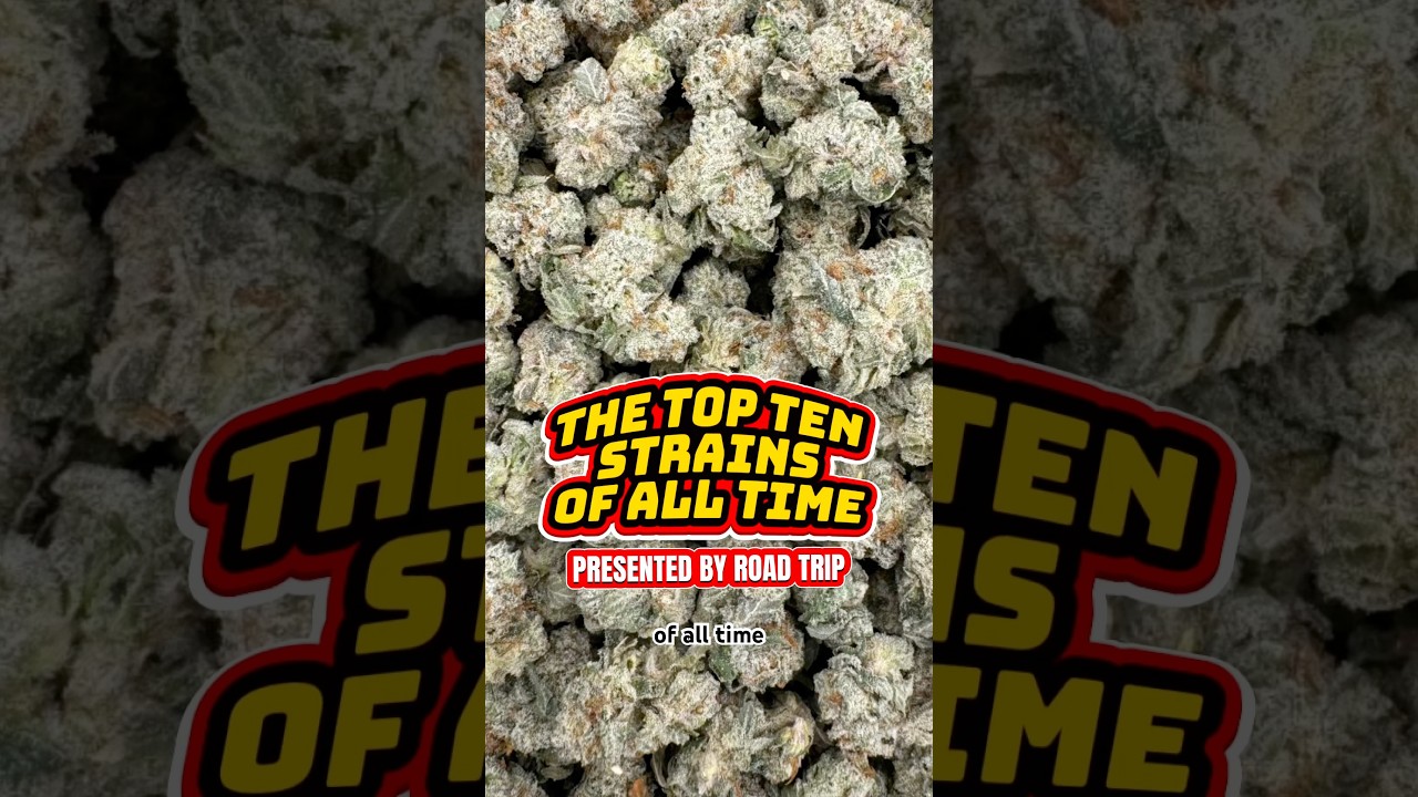THE TOP TEN STRAINS OF ALL TIME