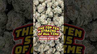 THE TOP TEN STRAINS OF ALL TIME