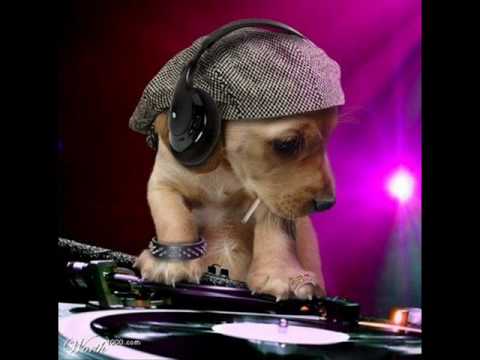 Stee Wee Bee - In Bed With You