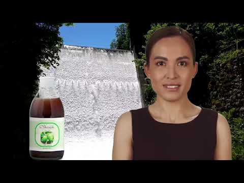 Morinzhi, der fermentierte Noni-Saft