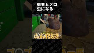 弟者とメロ、虫になる【めっちゃカメレオン】 #shorts