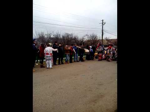 Valaret 2013 2014 halaresti