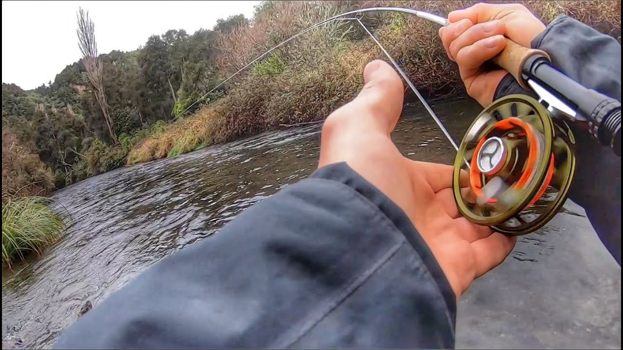 SWINGING Streamers and Nymphing with CLEARDRIFT Eggs [CRAZY Fishing]