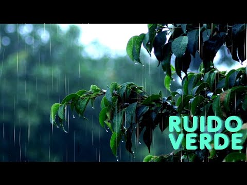 Lluvia Suave Relajante en la Naturaleza para Dormir y Concentrarse con Ruido Verde 🌿🌧️💤