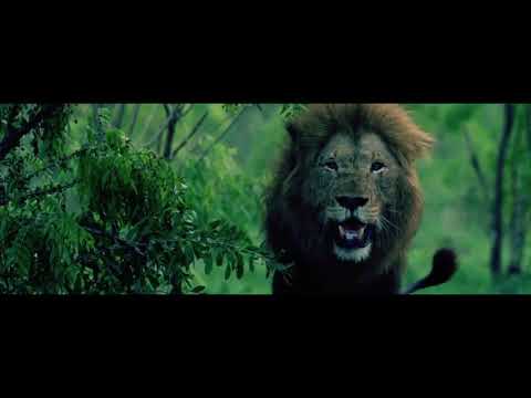 Maestro - Allei | prod. by Chekaa