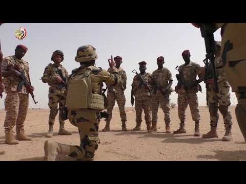 Egypt and Sudan Joint Exercise 'Hama al Nail' in Sudan