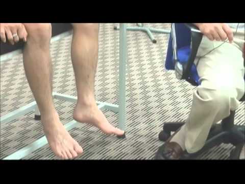 Dr. Frank Frassica - Musculoskeletal Physical Examination.wmv