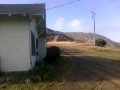 Banning House Lodge - Banning Inn Video 3