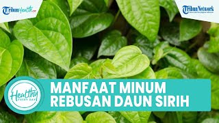 4 Manfaat Minum Rebusan Air Daun Sirih untuk Kesehatan, Mampu Obati Asam Urat dan Keputihan