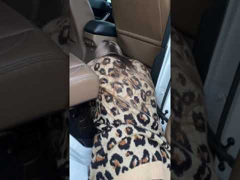 24 de diciembre de 2020