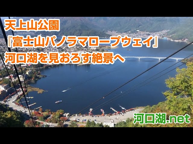 途易集団日本株式会社