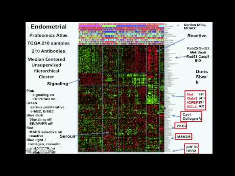 TCGA: Integrated Genomic Characterization of Endometrial Carcinoma - Douglas Levine