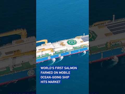 World's first salmon farmed on mobile ocean-going ship hits market #coolchina