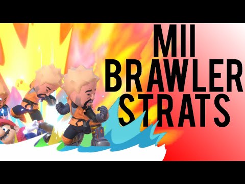 The Truth About Mii Brawler
