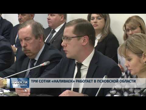 Новости Псков 21.01.2020 / Три сотни «наливаек» работает в Псковской области 