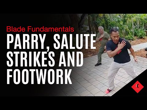 1.4 Empty Hand Basics: Parry & Salute | Filipino Martial Arts Blade Fundamentals
