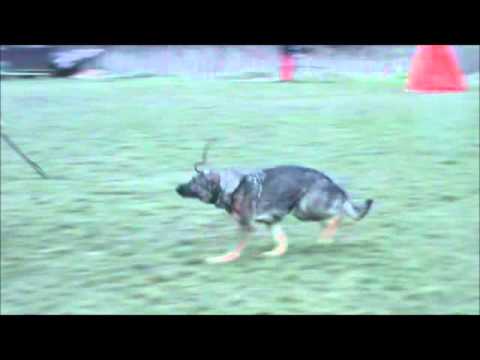 Dixa Ja Na Ka - protection training - 2/2016