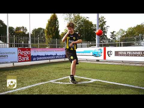 CDW Academie Brainpowerbal