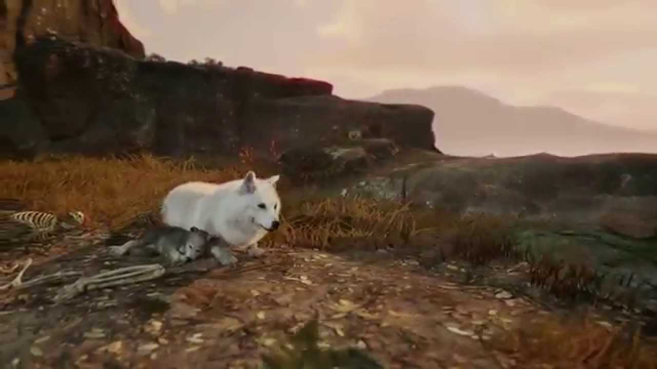 YouTube video: YouTube video player