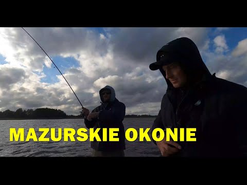 BANJO, ADUSTA and TEXAS PERCH