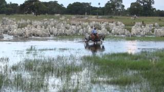 preview picture of video 'Filme - PANTANAL - Agroquima'