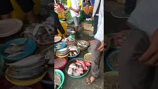 Download lagu Berasa ftv sctv #ftvsctv #laut #ikan #belanja #tempuran #pelelanganikan mp3