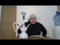 Hookah Review | Saturns Moon | Round Glass ...