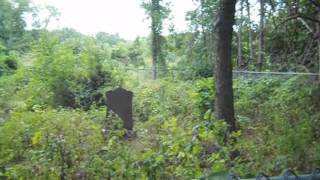 preview picture of video 'Shaw Family Cemetery Dade County MO'