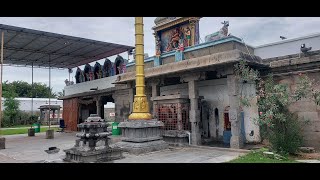 Temple video