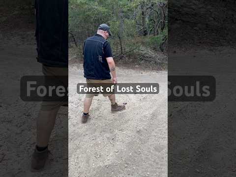 Exploring Forest of Lost Souls in the NJ Pine Barrens Creepy #Bizarre #Weird #Unusual #Exploring