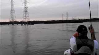preview picture of video 'TENNESSEE RIVER Tailrace Fishing Wheeler Dam Stripers in Alabama 2012'