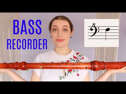 All the notes on the BASS recorder! | Team Recorder