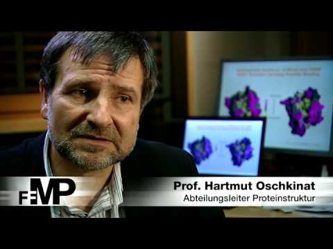 Strukturbiologie am FMP am Leibniz-Institut für Molekulare Pharmakologie (FMP)