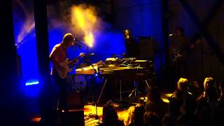 Dungen, Trädgården 20170831