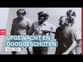 Verdachten opgepakt in 40 jaar oude moordzaak & de zeilreis van je leven | Drenthe Nu
