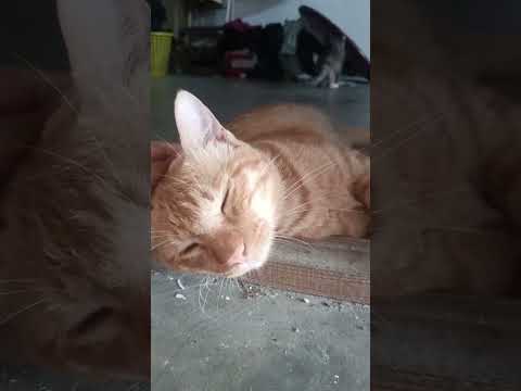 14 กรกฎาคม ค.ศ. 2025