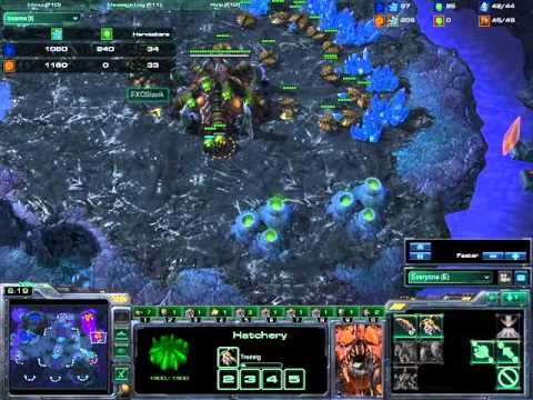 STARCRAFT 2 MarineKing V.S FXOSlavik PvZ on Shakuras Plateau