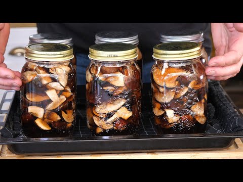 Grzybki w słoikach na długi czas / Oddaszfartucha