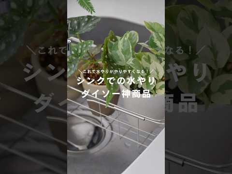 牛乳で水やりできる植物は何ですか?何のために ？より多くのカルシウムを必要とする5つの予想外の屋内種  庭園