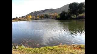 DIADEM OF GOLD - BAILEY