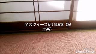 全スクイーズ紹介part2（粘土系）