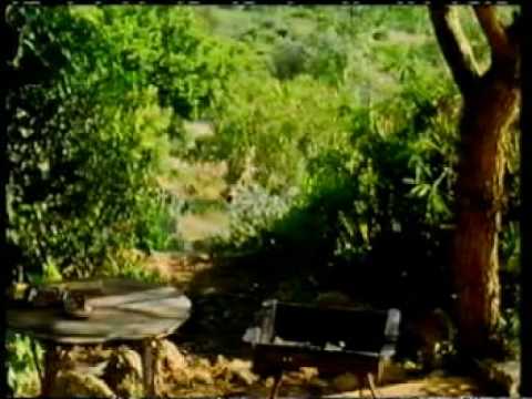 2/3 Peter Cook's scenes from 'One Foot in the Algarve'